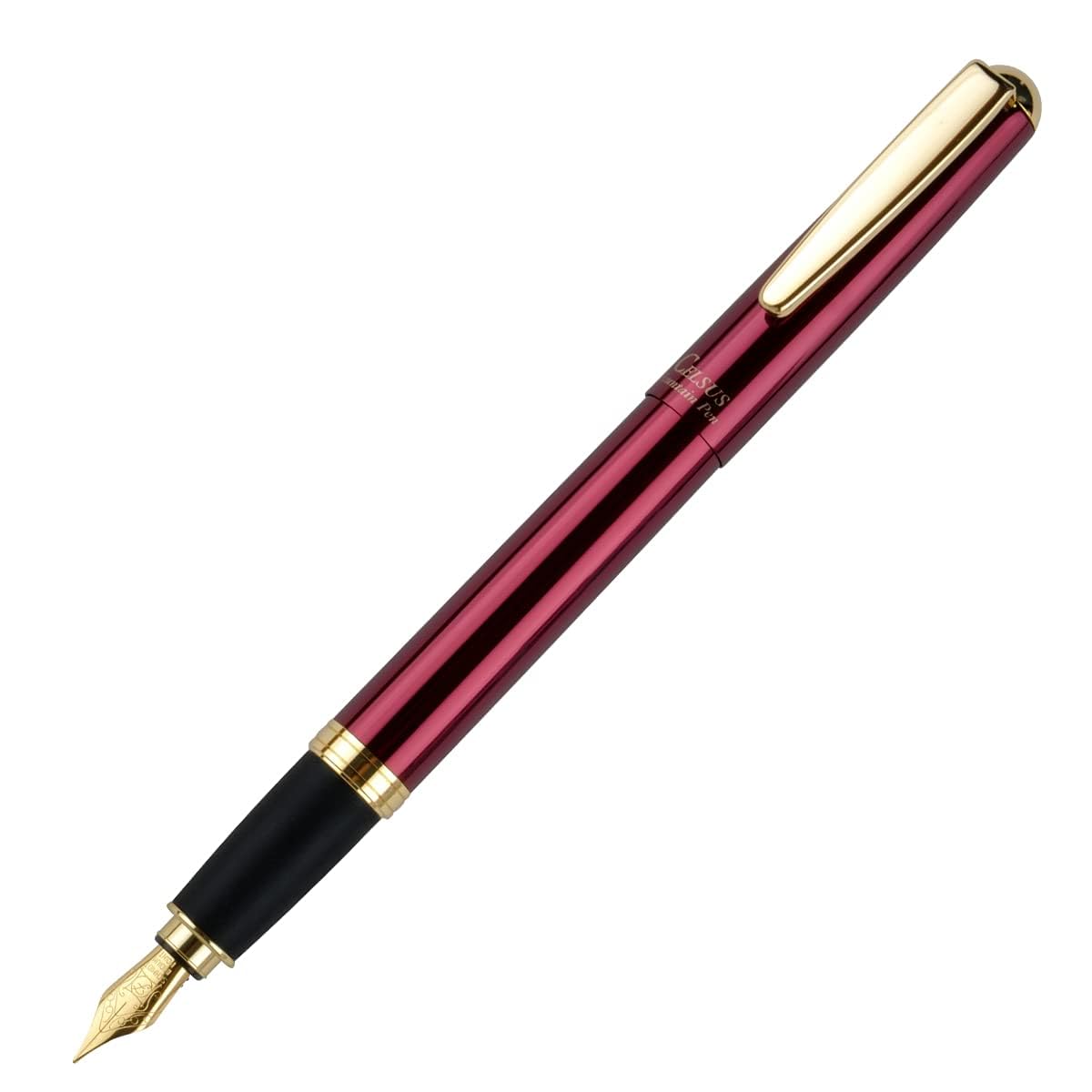 OHTO Celsus Fountain Pen Wine Red Body For Signature Calligraphy,Consistent Smooth Flow Smooth Elegant Writing with Fine Nib and Ink Converters Professional quality, Made in Japan