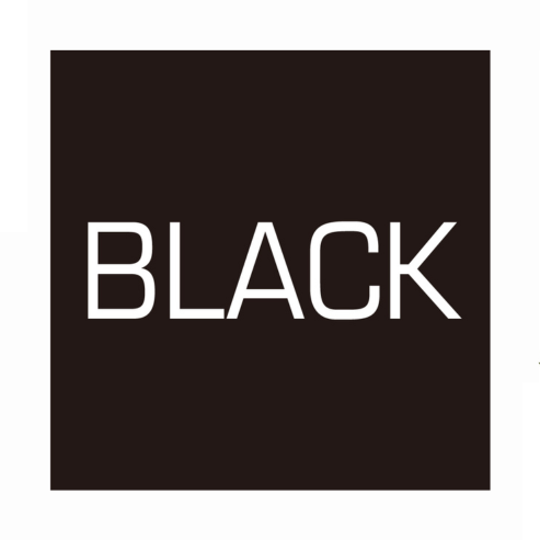 ZIG CARTOONIST BRUSH PEN NO.22 BLACK