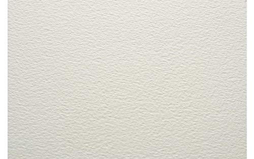 Renaissance Fabriano  White Watercolour Paper Cold Pressed 300 GSM 22 inch X 30 inch
