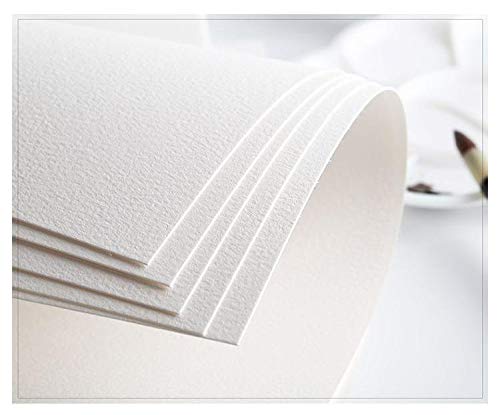 RENAISSANCE 300GSM Drawing and Watercolor Sheet Rough Full Size PACK OF 1 [560x760mm]