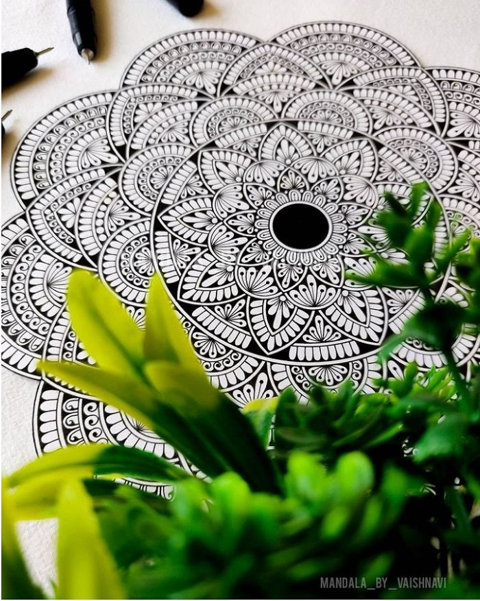 ZIG KURETAKE Cartoonist MANGAKA The FINE Liners Set of 6 PENS 005,01,02,03,05,08 Made in Japan