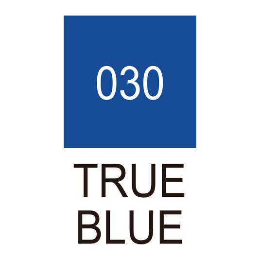 ZIG ACRYLISTA Big & Broad TOTAL 6 COLORS